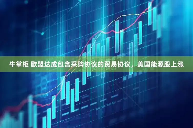 牛掌柜 欧盟达成包含采购协议的贸易协议，美国能源股上涨