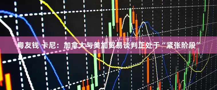 粤友钱 卡尼：加拿大与美加贸易谈判正处于“紧张阶段”