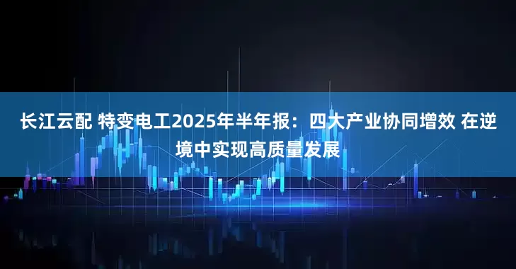 长江云配 特变电工2025年半年报：四大产业协同增效 在逆境中实现高质量发展